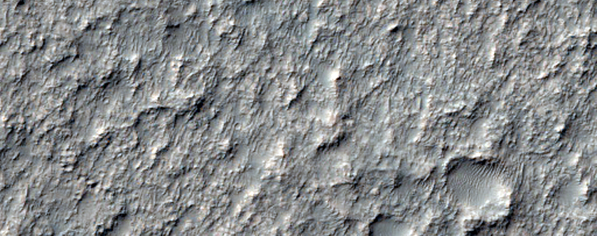 Sample Terrain