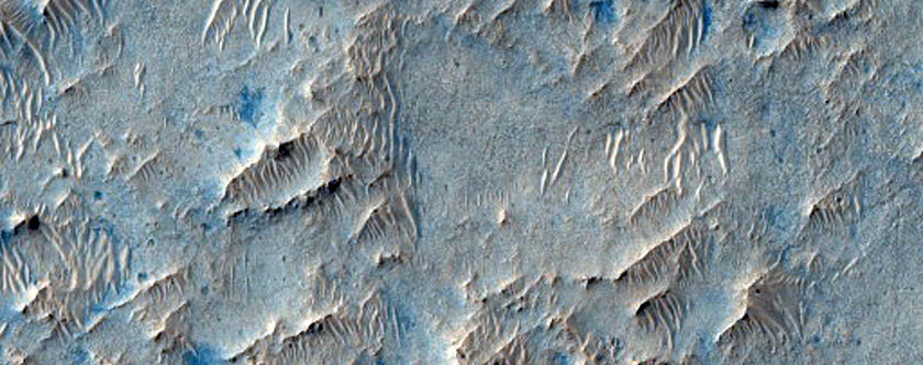 Candidate Future Landing Site in Jezero Crater