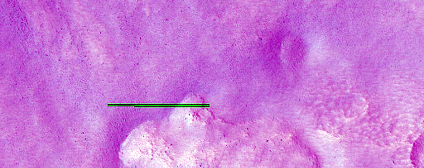 Gullied Crater Wall