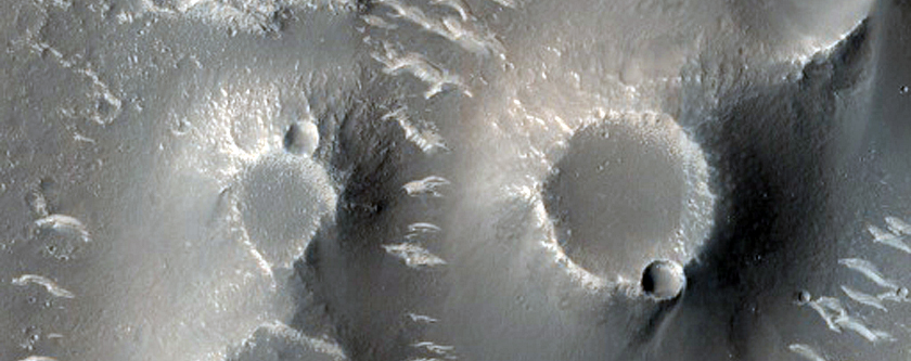 Field of Cones in Utopia Planitia