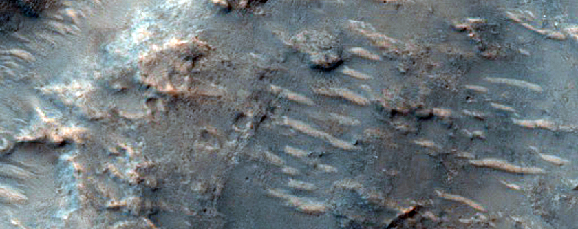 Sample Terrain