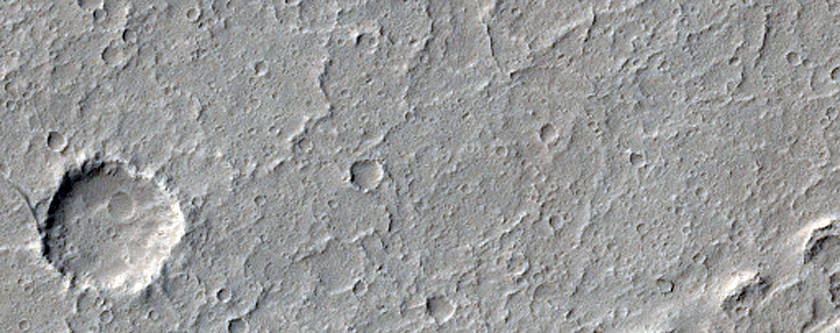 Rings and Mounds in Sacra Sulci Region