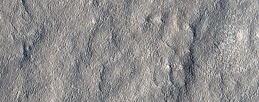 Pits in Arcadia Planitia