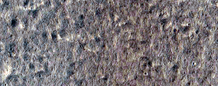 Lowland Materials