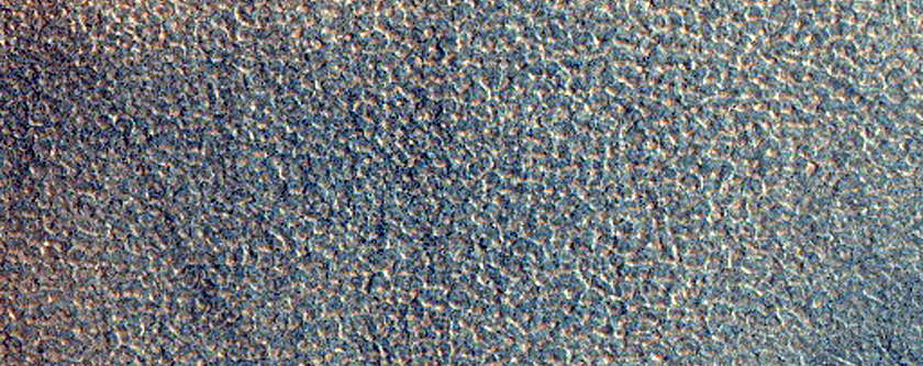 Northern Plains Sample
