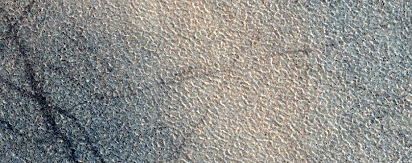 Northern Plains Sample