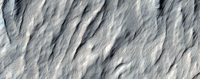 Lava Channels on Olympus Mons