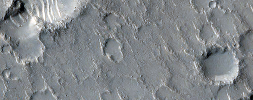 Isidis Planitia Terrain Sample