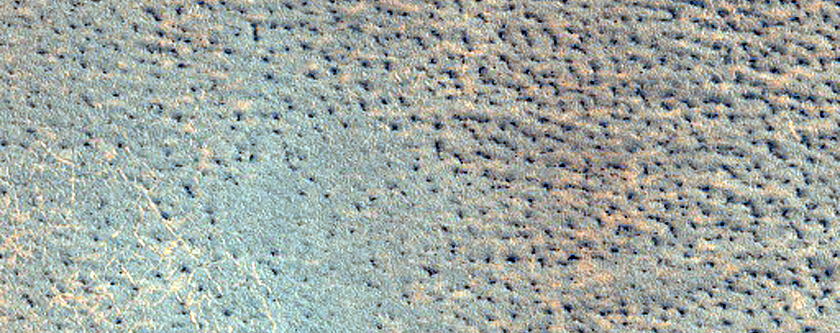 Northern Plains Sample