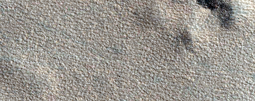 Northern Plains Sample