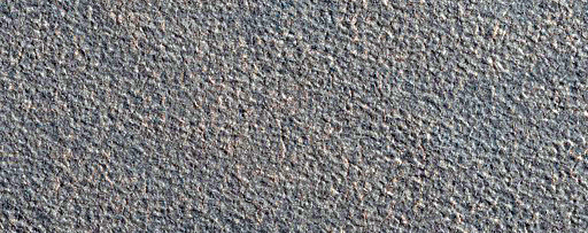 Northern Plains Sample