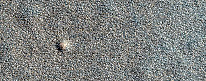 Northern Plains Sample