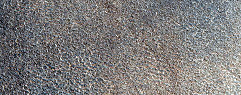 Northern Plains Sample