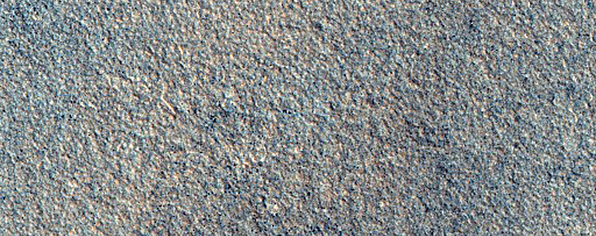Northern Plains Sample