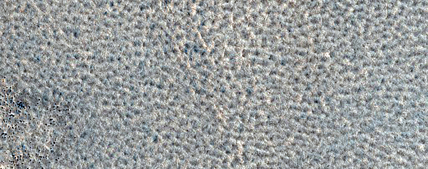 Northern Plains Sample