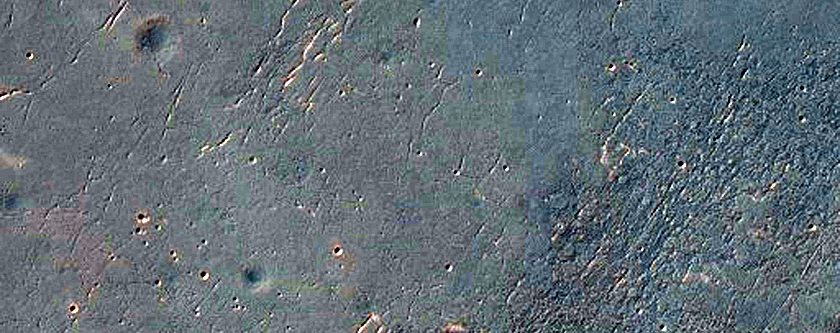 Secondary Craters in Meridiani Planum