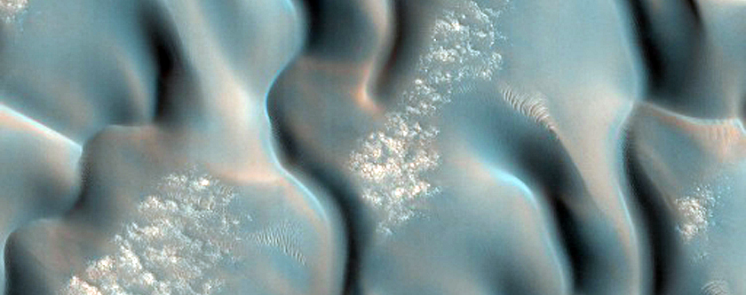Furrows on Dunes Dubbed South Beach