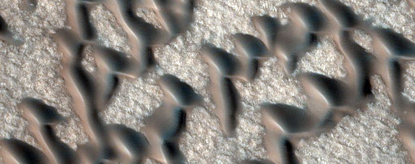 Furrows on Dunes