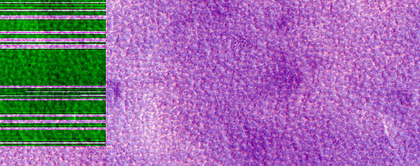 Northern Plains Terrain