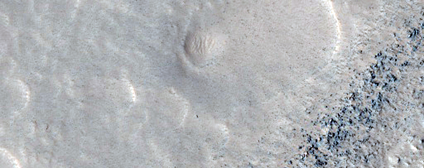 Pitted and Scalloped Terrain