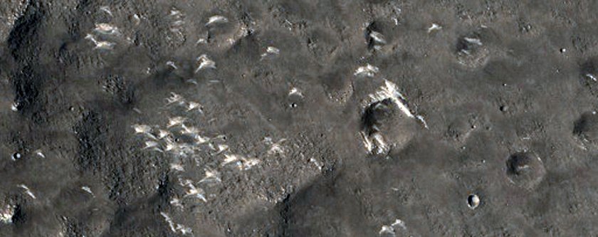 Possible Flow Near Elysium Planitia