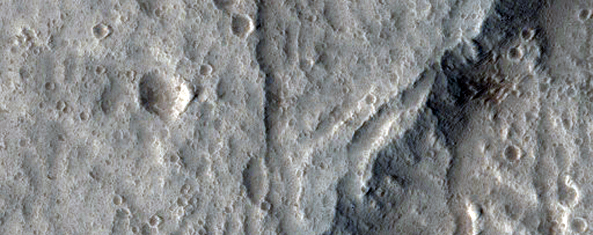 Branched Channels in Tantalus Fossae