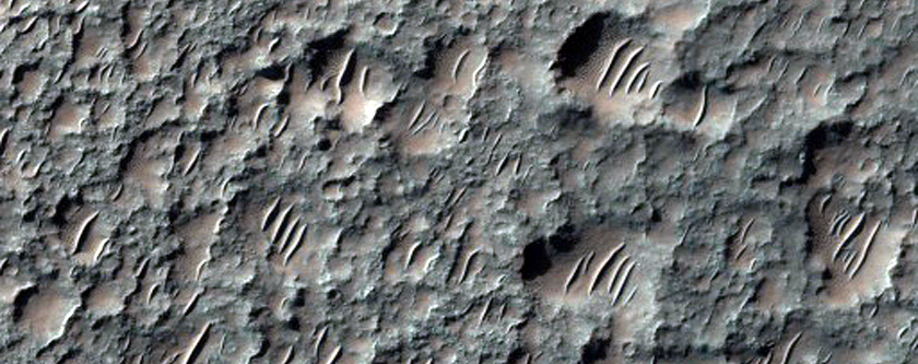 Infilled Crater Floor in Terra Sirenum