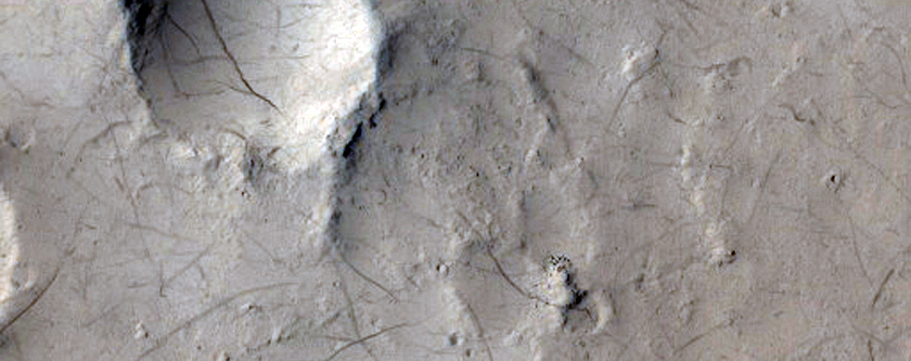 Crater with Fans and Sinuous Ridges Near Distal Marte Vallis
