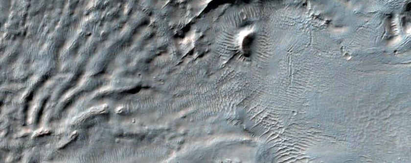 Gully Monitoring