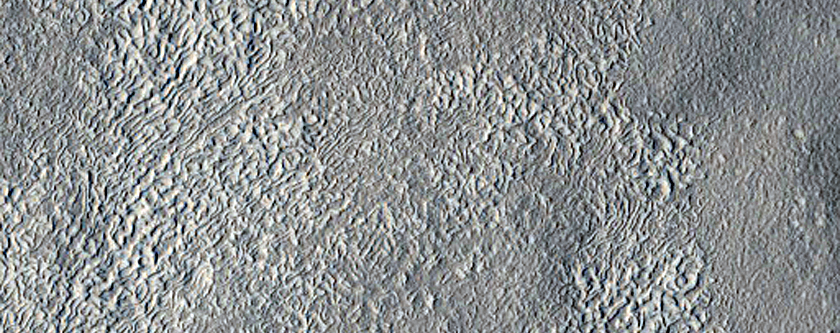 Terraced Bullseye-Like Crater in Arcadia Planitia