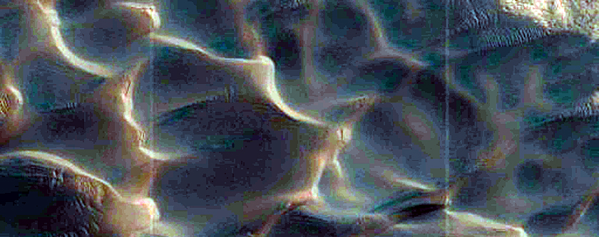 Dunes Dubbed Buzzel