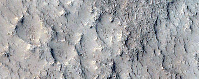 Crater with Channels and Fans and Sinuous Ridges Near Distal Marte Vallis