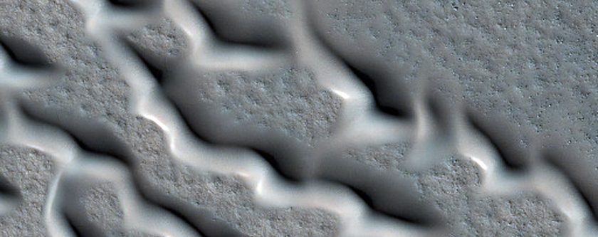 Northern Dunes