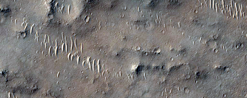 Candidate Landing Site for 2020 Mission in West Meridiani Planum