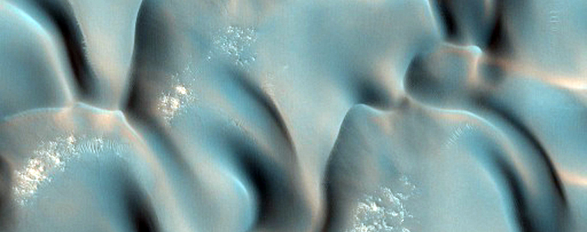 Furrows on Dunes Dubbed South Beach