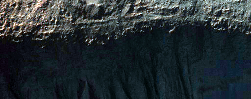 Gully Monitoring