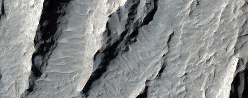 Candidate Landing Site in Firsoff Crater