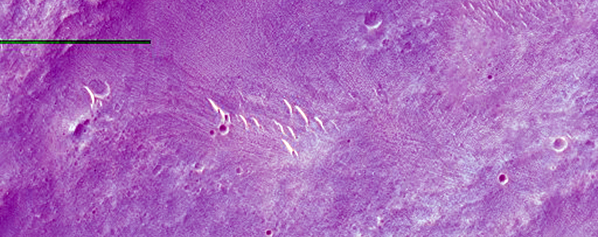 Ejecta Blanket of Yalgoo Crater