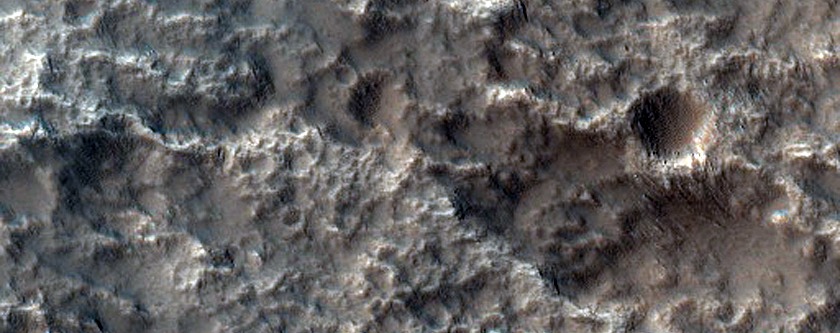 Leveed Lava Flows on Olympus Mons