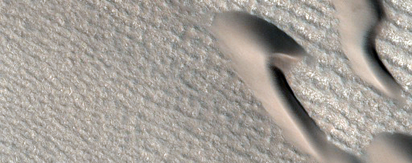 Furrows on Dunes