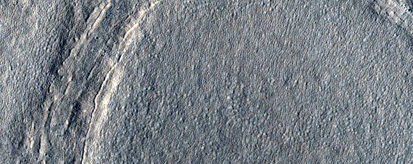 Circular Structure in Northern Arcadia Planitia