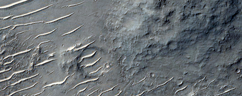 Sample of Diverse Terrains in Tyrrhena Terra