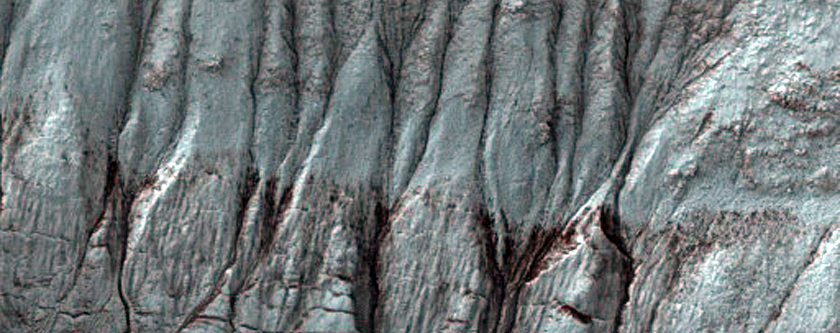 Gully Monitoring