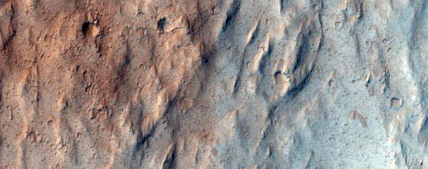 Leveed Lava Channels on Olympus Mons