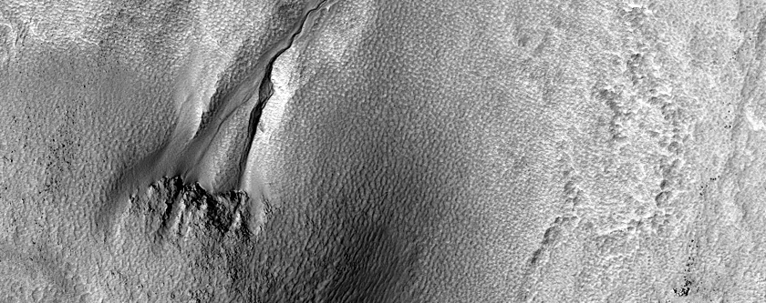 Gully South of Lyot Crater