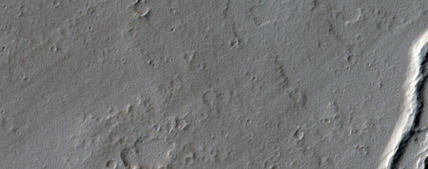 Elevated Structures South of Ascraeus Mons