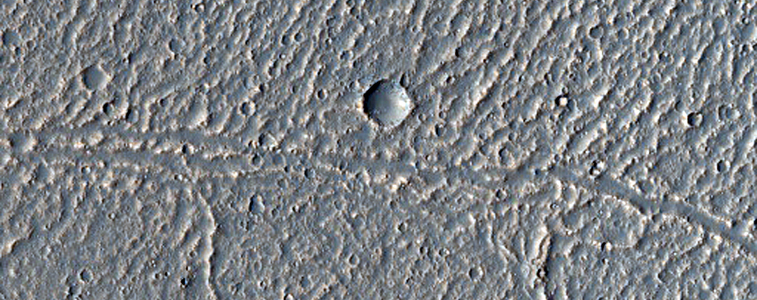 Crater and Kasei Valles Lava