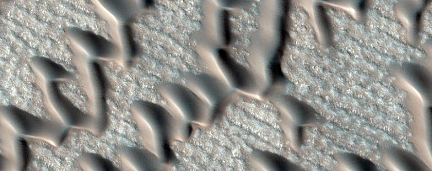Furrows on Dunes