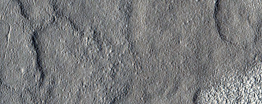 Terrain Sample