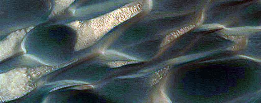 Dune Migration Site